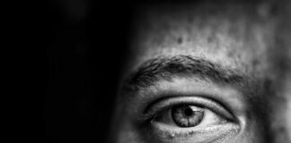 Daniel: War er ein Prophet oder Berater? Blick in Auge halbes Gesicht Sommersprossen schwarz weiß
