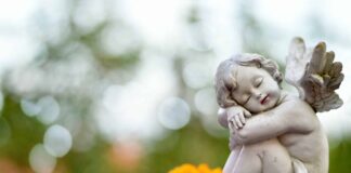 Sternenkinder-Bestattung: Ein langer Kampf für die Würde des Kindes (Nordkirche.de)