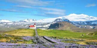 Auf kargem Boden: Kirchliches Leben in Island (zeitzeichen)