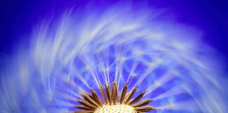 Gottesdienst in Zeiten von Corona: Materialien, Tipps und Links