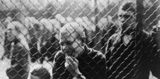 Vor 80 Jahren: Pfarrer enthüllt „T4“-Massenmord