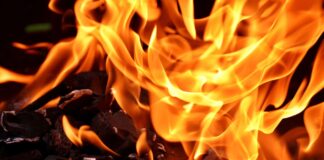 Nach „Bücherverbrennung“: Initiator entschuldigt sich Feuer Flammen