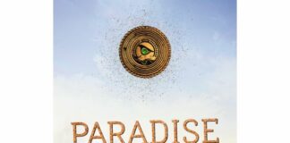Carlo Meier: „Paradise Valley – Das Verhängnis“