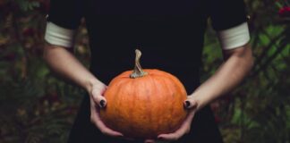 Kommentar: Wie hältst du es mit Halloween?
