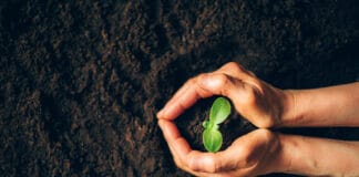 15 Thesen: So gelingen kirchliche Startups und Neugründungen Farmer pflanzt eine Pflanze