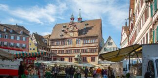 Die Bibel auf den Marktplatz bringen