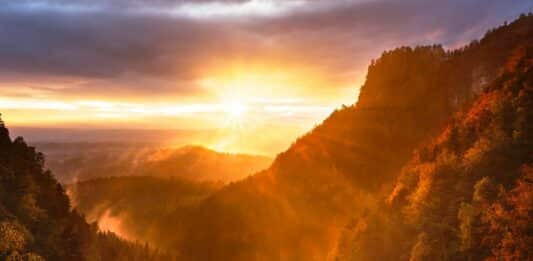Sonnenaufgang Sonne Natur Wald