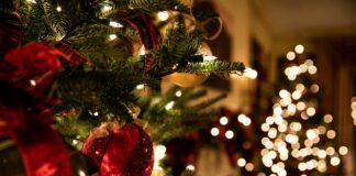 Venezuela: Präsident Maduro zieht Weihnachtsbeginn vor Eine rote Christbaumkugel hängt an einem Weihnachtsbaum. Im Hintergrund leuchtet ein anderer Weihnachtsbaum.