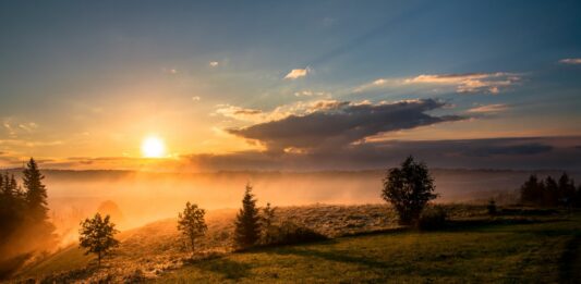 Sonnenaufgang Wiese Nebel