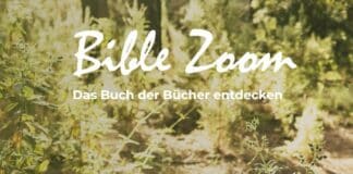 Bible Zoom: Ganz tief ins Alte Testament eintauchen Bibel Zoom Julius Steinberg