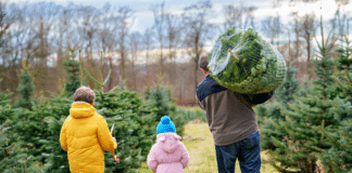 Umwelt-Tipps für den Weihnachtsbaumkauf Kauf Weihnachtsbaum