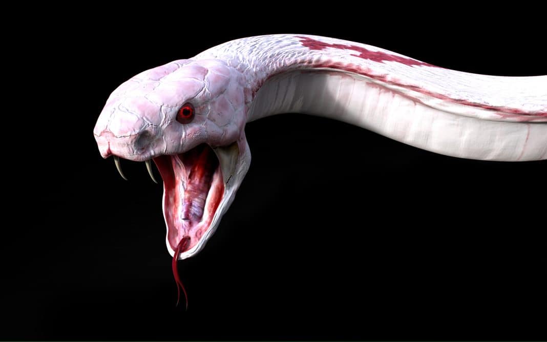 3D Albino-Kobra