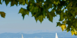 Attacke auf dem Bodensee: Bootfahrer rammt christliche Gruppe Bodensee Symbolbild