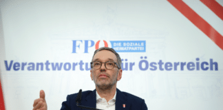 Österreich: Protestanten wegen möglichem FPÖ-Kanzler besorgt Herbert Kickl in Wien 2025