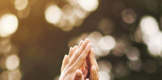 Gemeindemanagerin – auf Augenhöhe mit dem Pfarrer Hände zusammen mit High Five
