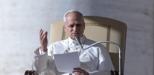 Papst Leo XIV redet bei einer Audienz im Dezember 2025