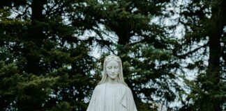Wie viel weißt du über die Frauen der Bibel? Eine Marienstatue vor dunkelgrünen Tannenzweigen