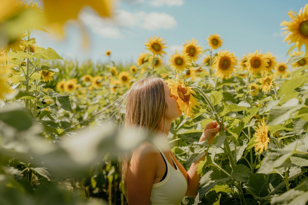 Eine Frau riecht in einem Feld voller Sonnenblumen an einer Blüte.
