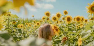 Was ist Glück? Eine Frau riecht in einem Feld voller Sonnenblumen an einer Blüte.