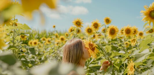 Eine Frau riecht in einem Feld voller Sonnenblumen an einer Blüte.