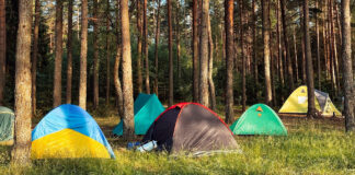 Christliches Zeltlager: 2.300 Teilnehmende erwartet Zelte im Wald