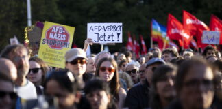 Rechts gegen Links? Die Lage ist komplexer! Anti-AfD Protest vor dem Brandenbruger Tor am 7. September 2026