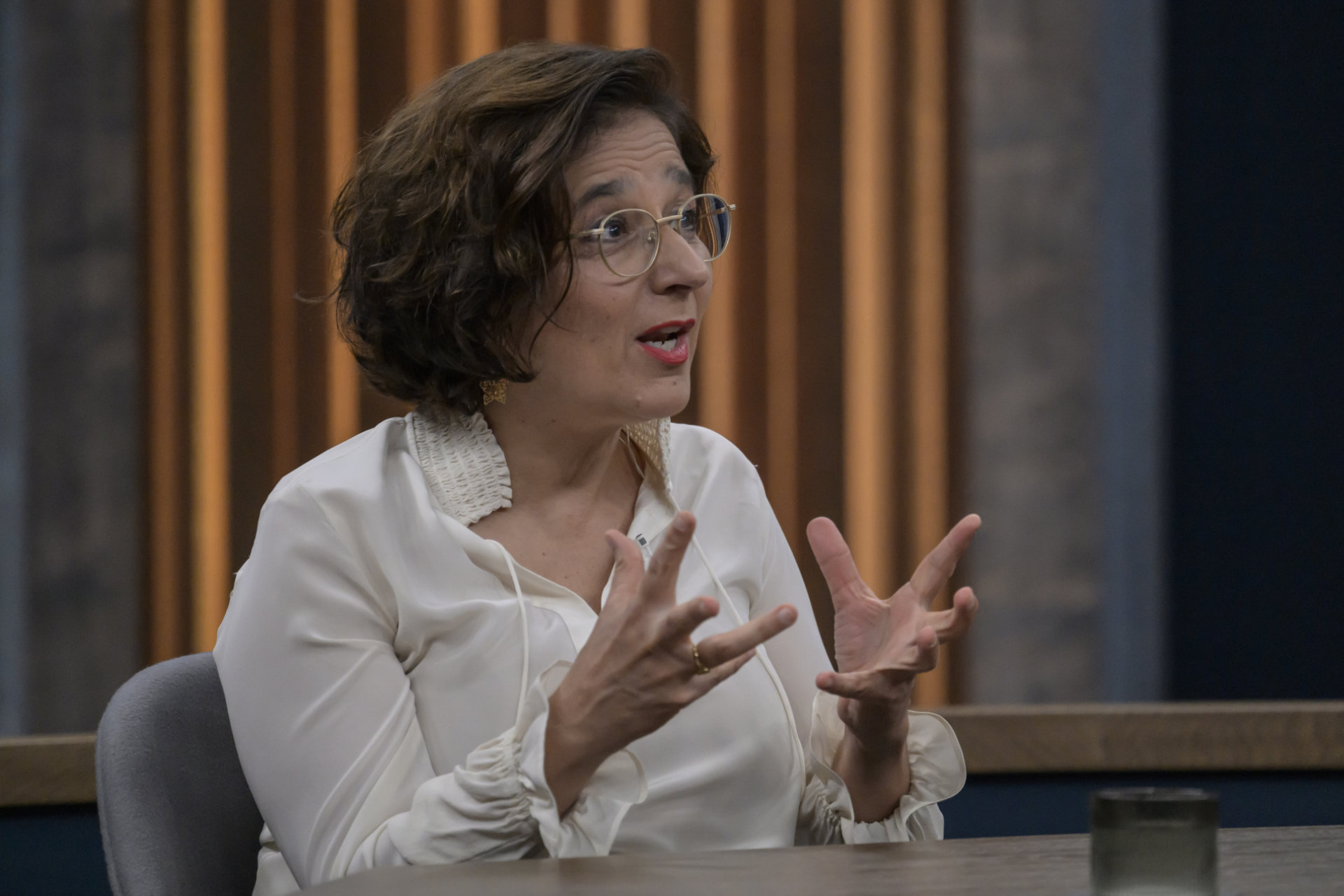 Die Journalistin Isabel Schayani in einer Talkshow
